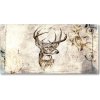 Foto obraz akrylový Jeleň 100x50 cm