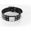 Whips Primal Bond Double Studded Collar Small Black, kožený obojok pre obvod 31–40 cm