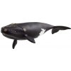 Schleich Wild Life Severoatlantická pravá veľryba
