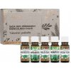 Saloos Vianočná pohoda sada 100% prírodných éterických olejov 5 x 10 ml