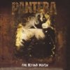 Pantera - Far Beyond Driven / 20Th Anniversary / Vinyl / 2LP [2 LP]