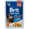 Brit Premium Cat Delicate Fillets in Gravy with Chicken 85 g - NEW