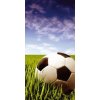 Samolepiace fototapety Dimex Futbal 95 x 210 cm D026 (Fototapeta na dvere)