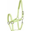 HorseGuard Ohlávka se stříbrným kováním Nylon II lime