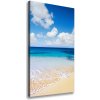 Vertikálny foto obraz na plátne Tropická pláž 50x100 cm