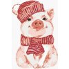 Zuty – Maľovanie Podľa Čísel – Prasa S Červeným Šálom A Čiapkou, 40 × 50 cm, Plátno + Rám 8596530076650