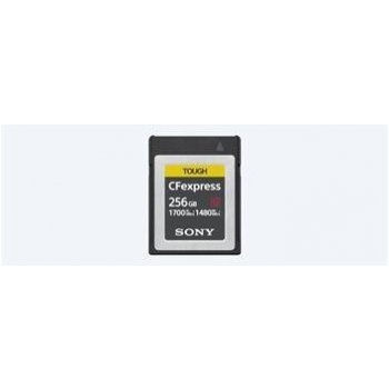 Sony 256GB CEBG256.SYM