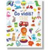 Čo vidíš? Prvé slová a obrázky - Anita Bijsterbosch
