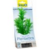 TETRA Rastlina Green Cabomba Plus 15 cm (S)