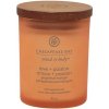 Vonná svíčka CHESAPEAKE BAY CANDLE Love & Passion 96g