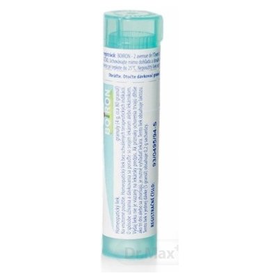 ARNICA MONTANA CH200 1x4 g