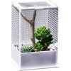 Repti-Zoo Mantis Box M – terárium terárium pre modlivky
