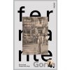 Príbeh stratenej dcéry - Elena Ferrante