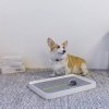 Petkit Pura Dog záchod pre psov PET KIT