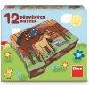 DINO Obrázkové kocky Domáce zvieratká, 12 kociek