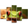 Sablio Obraz - 5-dílný Zelená žaba - 125x90 cm