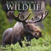Rocky Mountain Wildlife 2026 12 X 12 Wall Calendar (Kalendár)