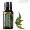 DoTerra Eucalyptus Esenciálny olej eukalyptus 15 ml