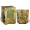 BARTEK CANDLES Vonná sviečka sójová Golden Ginko Greenery shades 150g