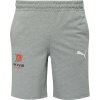 Pánske krátke nohavice Puma, TEAMGOAL CASUALS SHORTS Sivá,Mix,Biela XXL