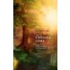 Ódinova cesta - Jan Provazník