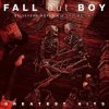 Fall Out Boy: Veľké Hits: Believers Never Die Volume 2 - CD