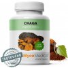 Chaga MycoMedica