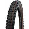 Schwalbe Magic Mary Evo Super Trail Addix 29x2,40