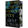 Uložte naše kosti do polnočnej pôdy - V. E. Schwab