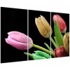 Tulipány - obraz (Obraz 120x80cm)
