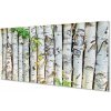 Obraz plexi Brezové lístie 100x50 cm