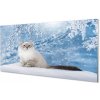 Nástenný panel mačka zima 100x50 cm