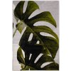 Najkoberce KOLIBRI 11290/390 160x230 cm