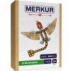 Merkúr DINO - Pterosaurus (MER8067)