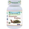 Planet Ayurveda Prostate Endza (zdravá prostata a močenie) 60 kapsúl