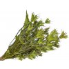 Sušené kvety Černuška - Nigella orientalis 80g - svetlozelené