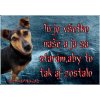 Pozorpes.sk, výstražná tabuľka (Jack russel)