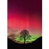 HEYE Power of Nature Sycamore Gap 1000 dielov