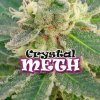 Dr. Underground - Crystal M.E.T.H. 4 ks - Semená neobsahujú THC