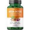 MOVit Mega Detox Ostropestřec + Kurkumin FORTE 60 kapsúl
