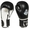 Boxerské rukavice DBX BUSHIDO ARB-407a 6oz.