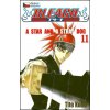 Bleach 11 (Tite Kubo)