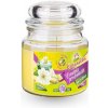 HUMED Citronella - repelentná sviečka v skle 120g