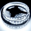 Brolux LED pásik 5m 12V SMD2835 120LED/m 7,2W/m 6000K Studená biela IP20