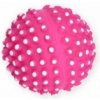 VIN DENTBALL PINK hračka pre psa Petnova hračky pre zvieratá