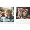 MFP papier Kalendár 2026 nástenný malý Cats