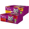 Whiskas klasický výběr ve šťávě pro dospělé kočky 80 x 85 g + WHISKAS Adult sáčok 80 x 85 g Hydinové kúsky