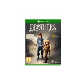 Brothers A Tale of Two Sons