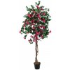 Bougainvillea červená, 150 cm