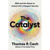The Catalyst